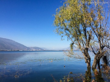 大理洱海 海舌公园