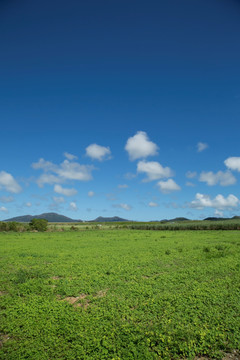 田野风光图