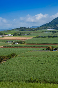 田野乡村风光