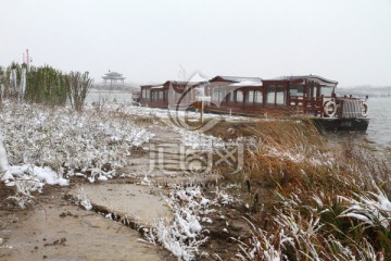 冬天的湿地公园