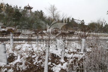 雪景