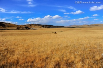 红原大草原风光