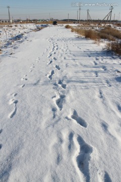 冬天 白雪