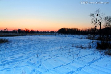 湿地 冬天 白雪