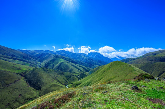 大海草山