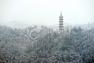 雪景