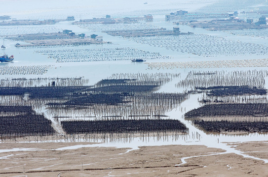 霞浦