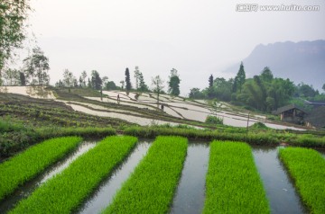 春天的气息