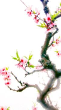 桃花枝 裝飾畫