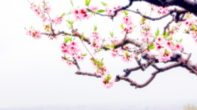 桃花枝 裝飾畫