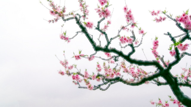桃花枝 裝飾畫