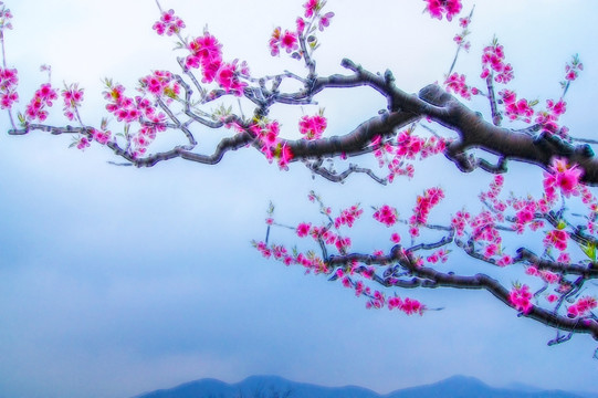 田園桃花 裝飾畫