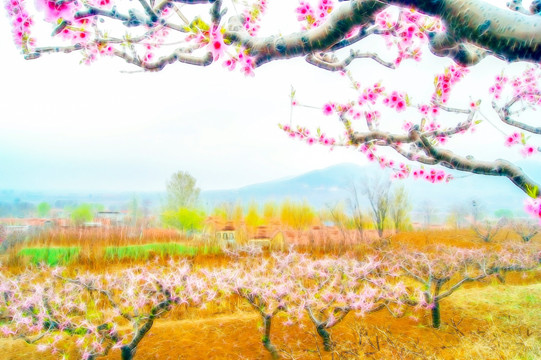 田園桃花 裝飾畫