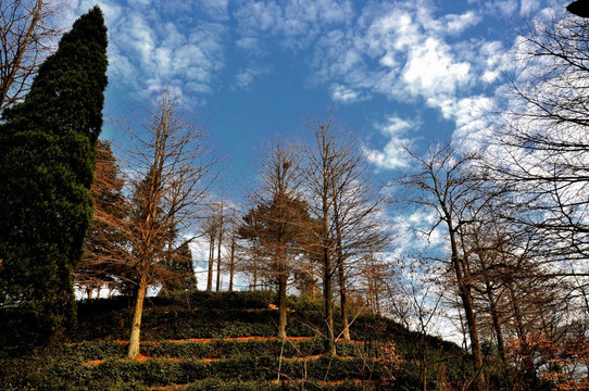 九华山风光 九华街景区