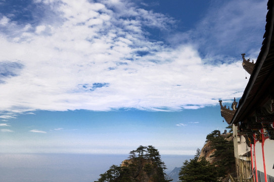 九华山云海 山石