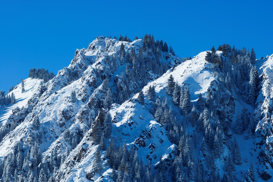 天山雪景