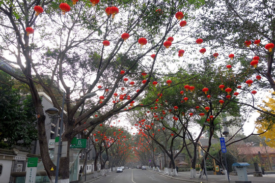 街道 节日 灯笼 喜庆