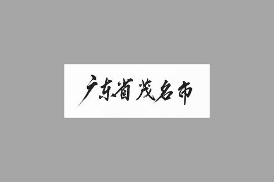 廣東省茂名市