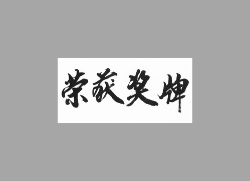 榮獲獎(jiǎng)牌
