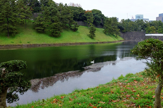 护城河