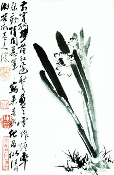 石濤 花鳥畫高清圖
