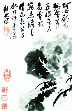 石濤 花鳥高清畫