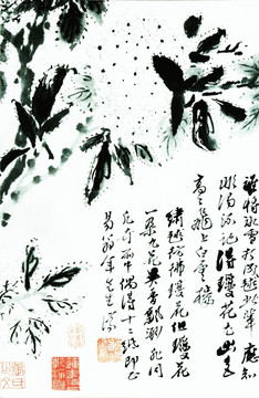 石濤 花鳥(niǎo)高清畫(huà)
