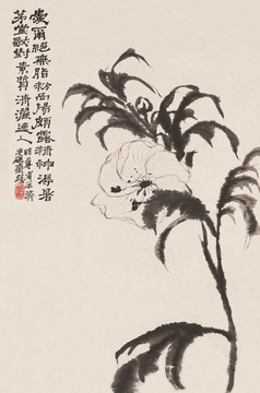 仟像花卉高清画