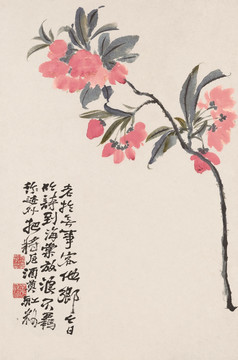 仟像花卉高清画