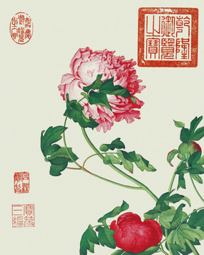 郎世寧 花鳥畫冊