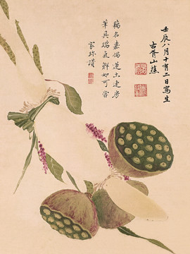 項圣謨 花鳥畫冊