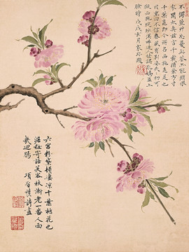項圣謨 花鳥畫冊