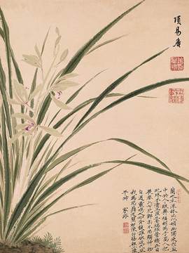 項圣謨 花鳥畫冊