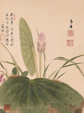 項圣謨 花鳥畫冊