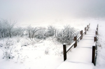 雪山