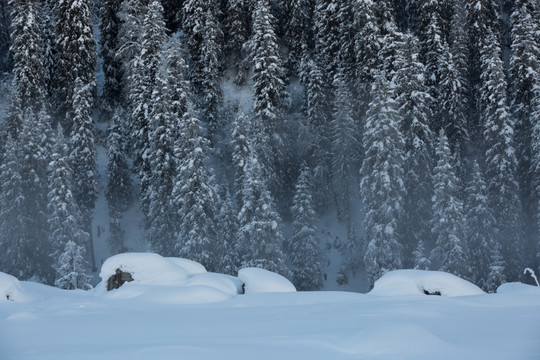 雪景