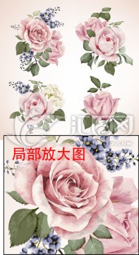 矢量花卉圖