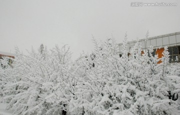 雪景