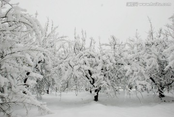 雪景