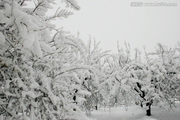 雪景