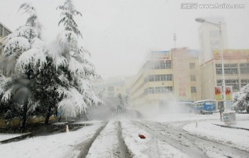 冬雪