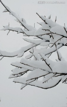 雪景