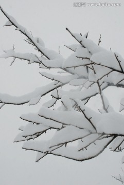 雪景