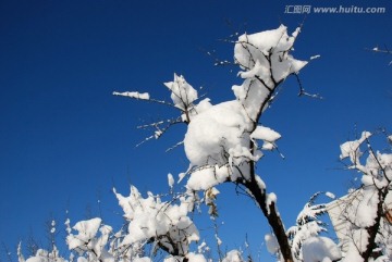 雪景