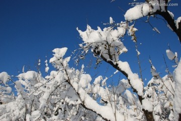 雪景