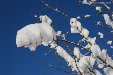 雪景