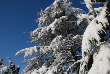 雪景