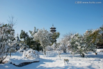 雪景