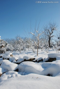 冰天雪地