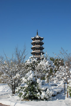 雪景